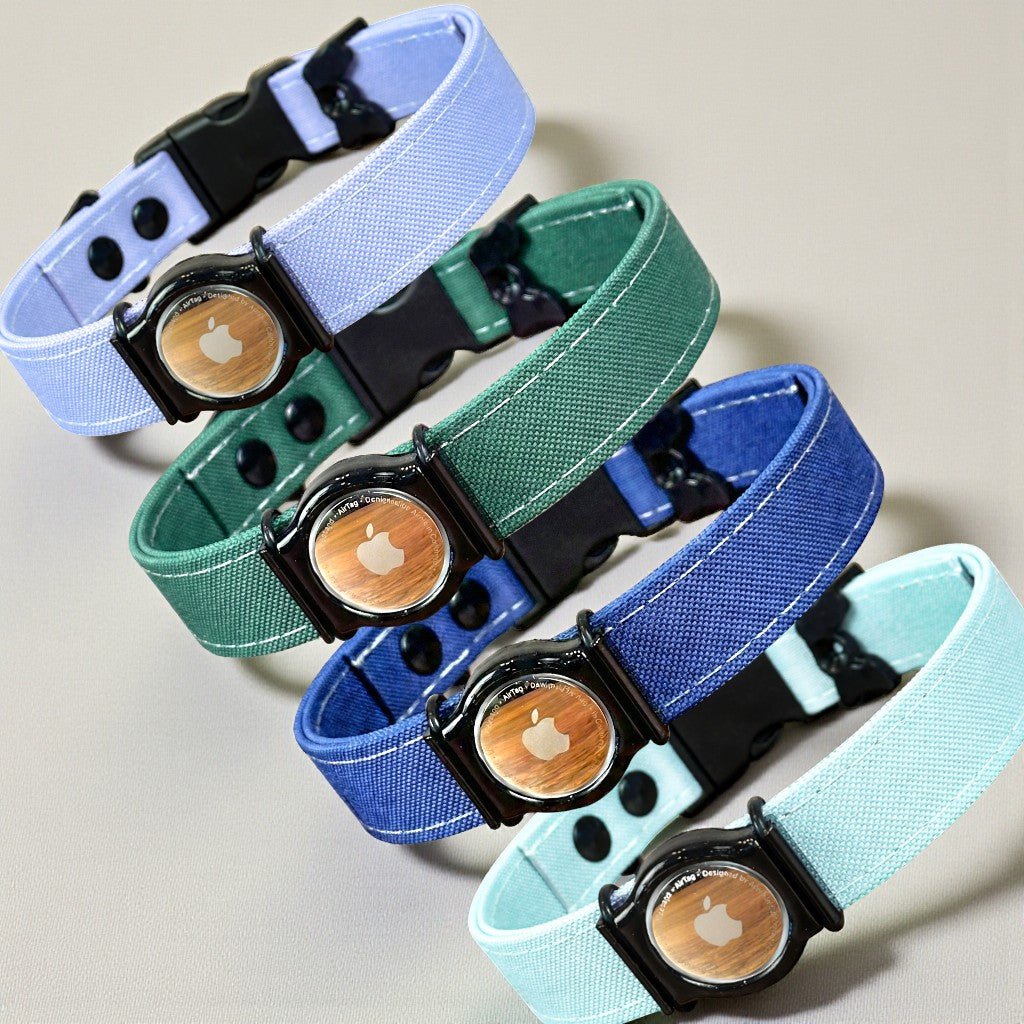 Rugged AirTag trackable dog collar - hundhaus.dog