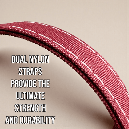 Rugged AirTag trackable dog collar - hundhaus.dog