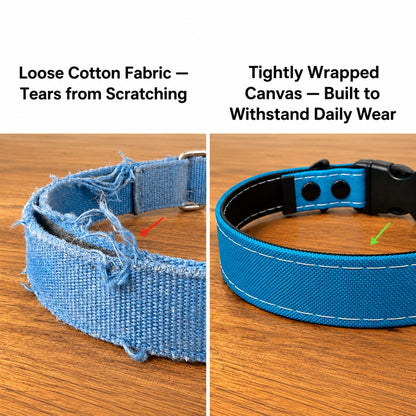 Rugged canvas dog collar durability comparison by HÜND HAUS