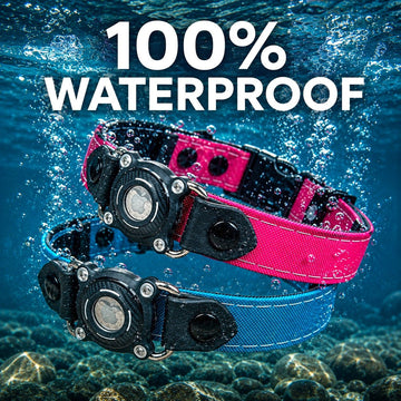 Rugged Waterproof AirTag Dog Collar with Holder