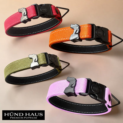 Rugged dog collar color options with dog head lock hardware
