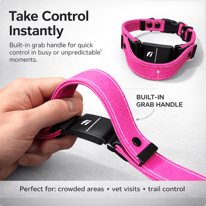 Rugged Fi-Compatible Dog Collar