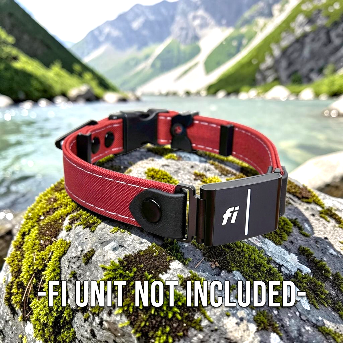 Close view of the Rugged Fi-Compatible Dog Collar