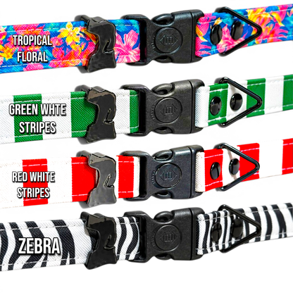 Rugged Fi-Compatible Dog Collar