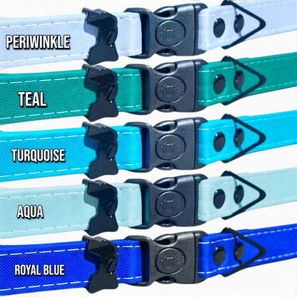 Rugged Fi-Compatible Dog Collar
