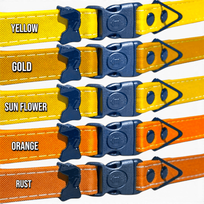 Rugged Fi-Compatible Dog Collar