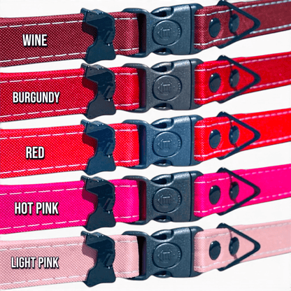 Rugged Fi-Compatible Dog Collar