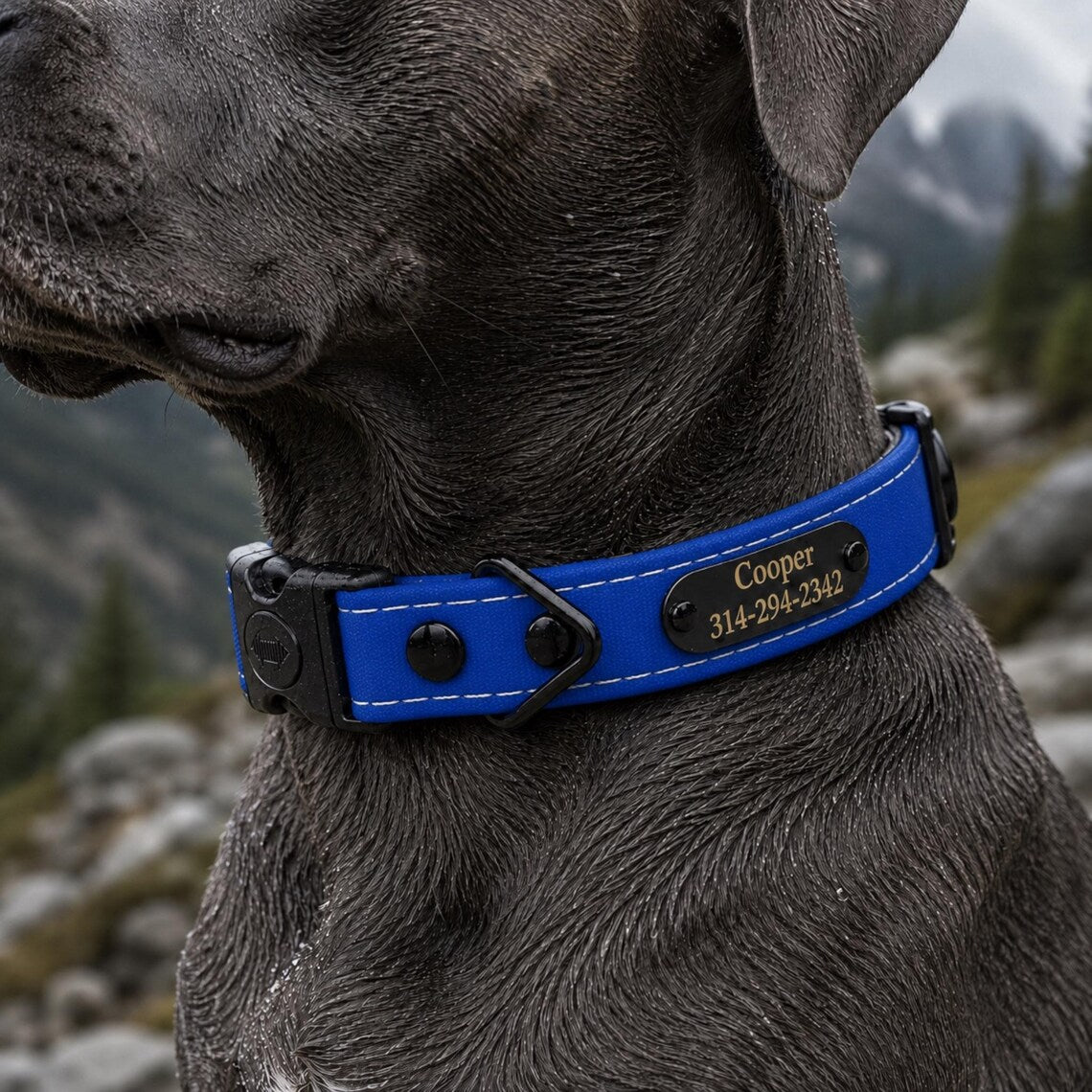 Rugged Waterproof AirTag Dog Collar with Holder - hundhaus.dog