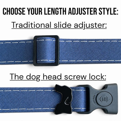 Rugged Waterproof AirTag Dog Collar with Holder - hundhaus.dog