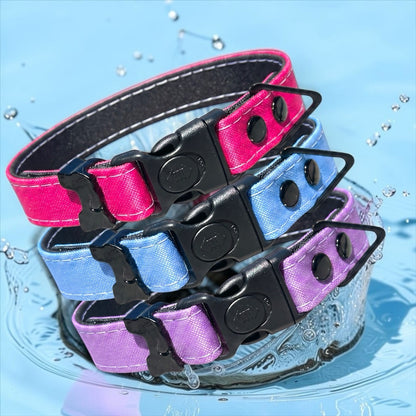 Rugged waterproof dog collars in pink blue and lilac by HUND HAUS