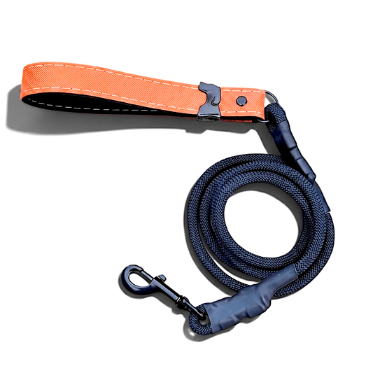 Rugged Waterproof Dog Leash - Coral - hundhaus.dog
