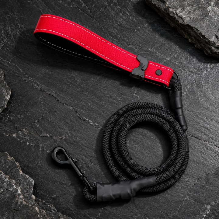 Leashes