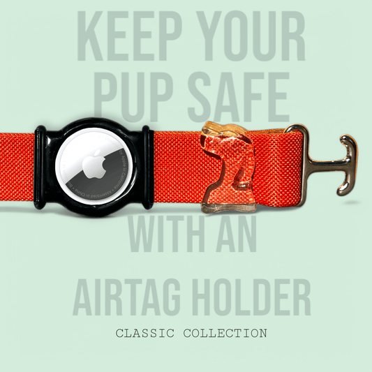 Rust - Classic Collar - hundhaus.dog