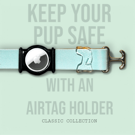 Sky Blue - Classic Collar - hundhaus.dog