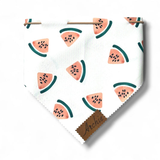 Slice of Summer leather drawstring Dog Bandana - hundhaus.dog