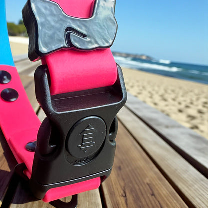 Sport Collar Collection - hundhaus.dog