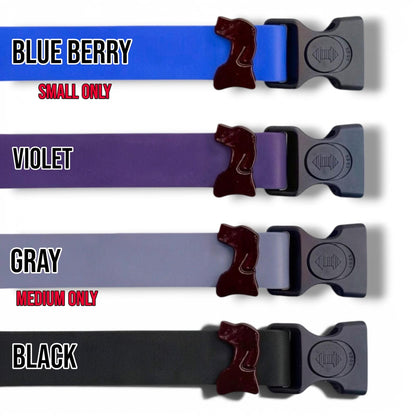 Sport waterproof dog collar colors in blueberry, violet, gray, and black