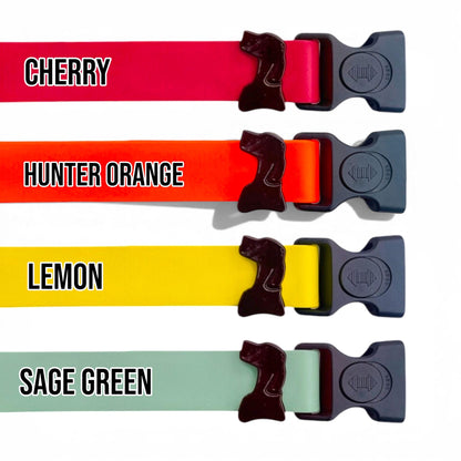 Sport waterproof dog collar colors in cherry, hunter orange, lemon, and sage green