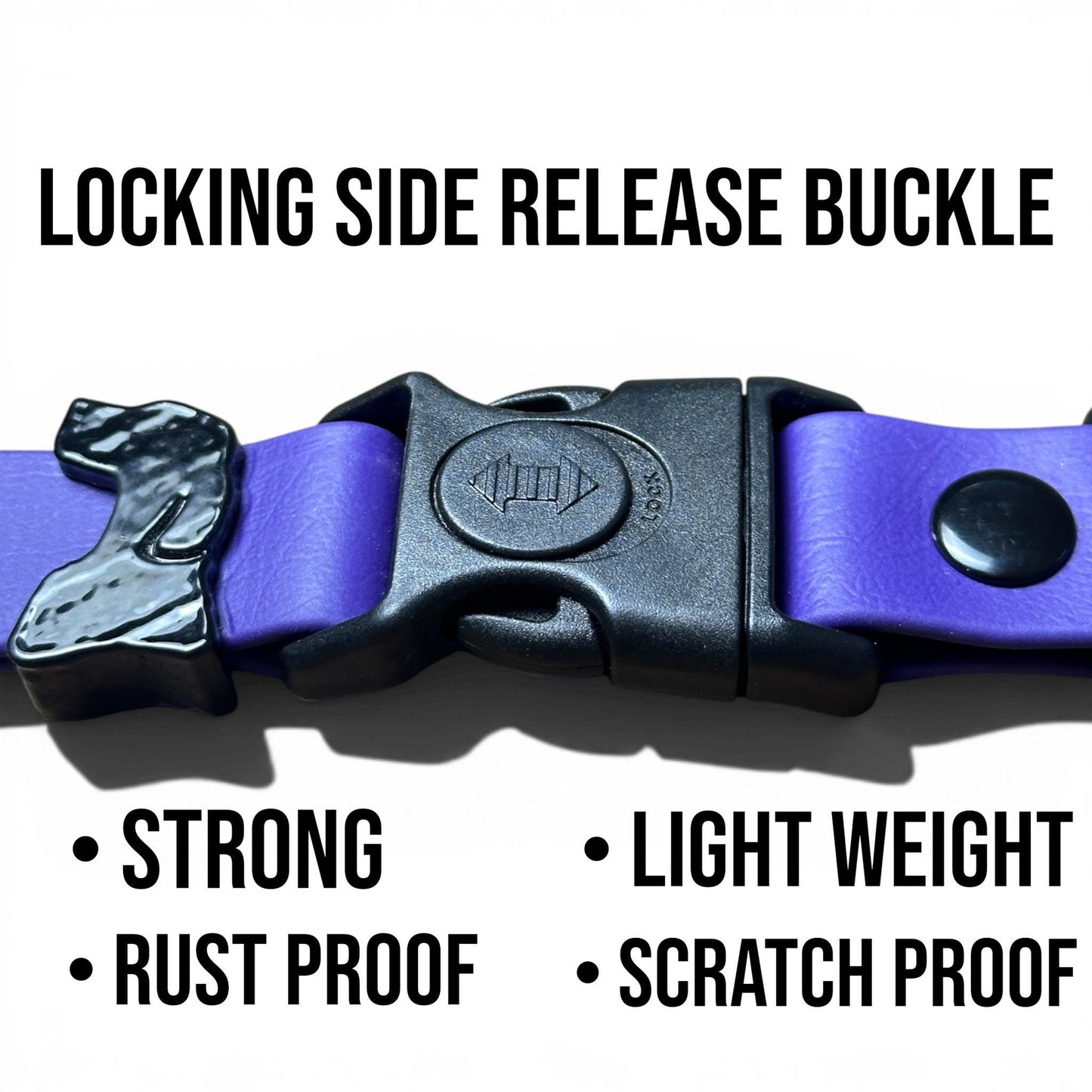Purple Sport dog collar with strong lightweight rust-proof locking buckle