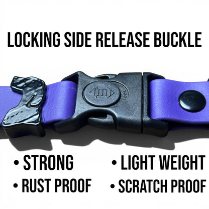 Purple Sport dog collar with strong lightweight rust-proof locking buckle