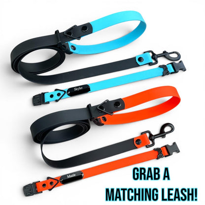 Blue and orange Sport waterproof dog collars with matching leashes and engraved nameplates