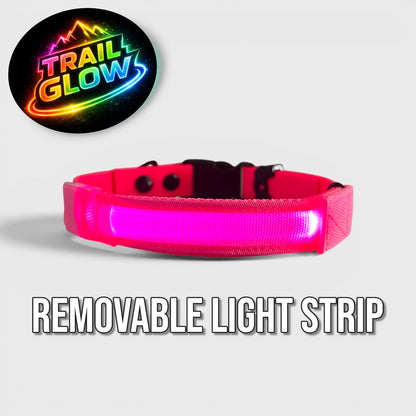 Hot pink Sport dog collar with removable Trail Glow visibility strip