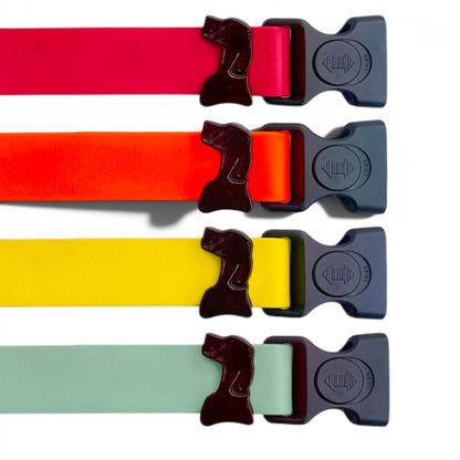 Sport Collection Collars- Flexible Biothane - hundhaus.dog