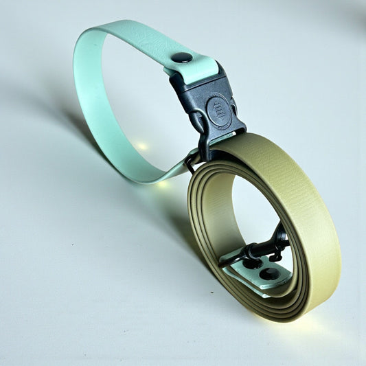 Sport Collection Leashes - hundhaus.dog