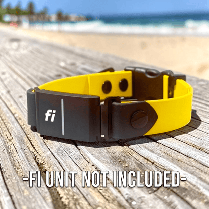 Sport Fi - Compatible Dog Collar - hundhaus.dog