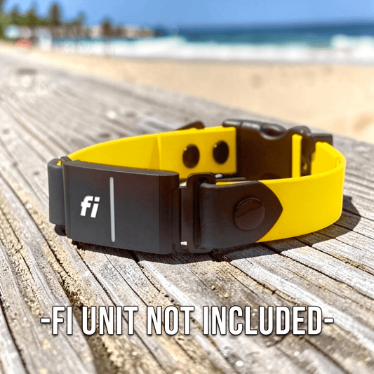 Sport Fi - Compatible Dog Collar - hundhaus.dog