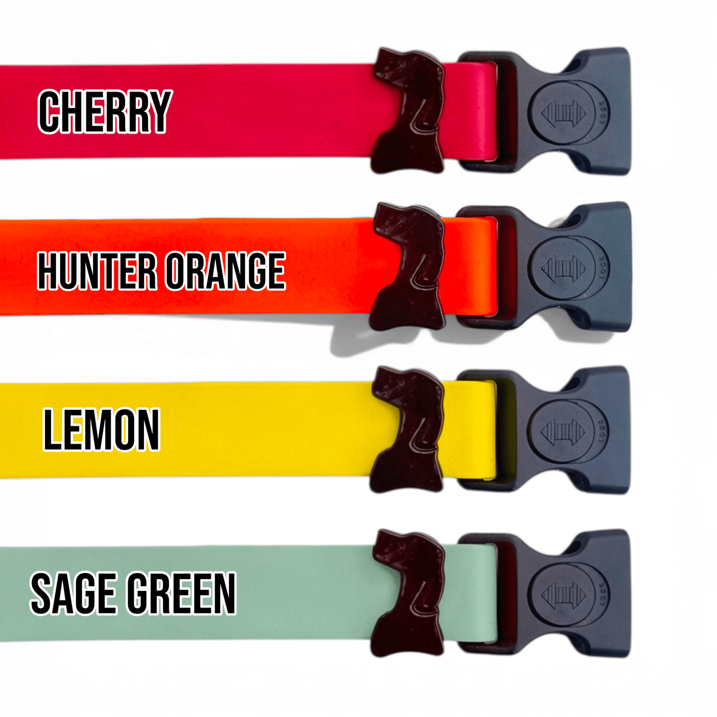 Sport Waterproof Dog Collar color option: Teal