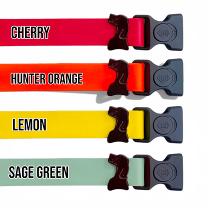Sport Waterproof Dog Collar color option: Teal