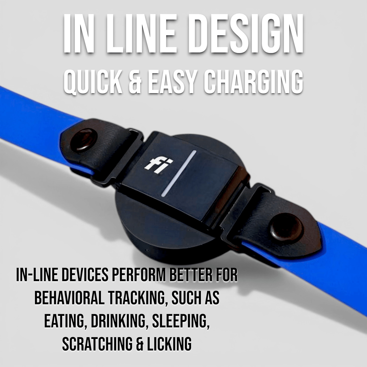 Sport Fi - Compatible Dog Collar - Fi GPS Included - hundhaus.dog