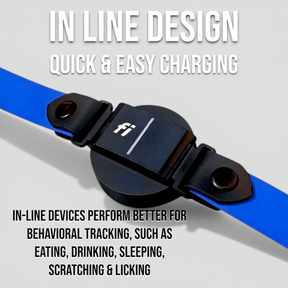 Sport Fi - Compatible Dog Collar - Fi GPS Included - hundhaus.dog