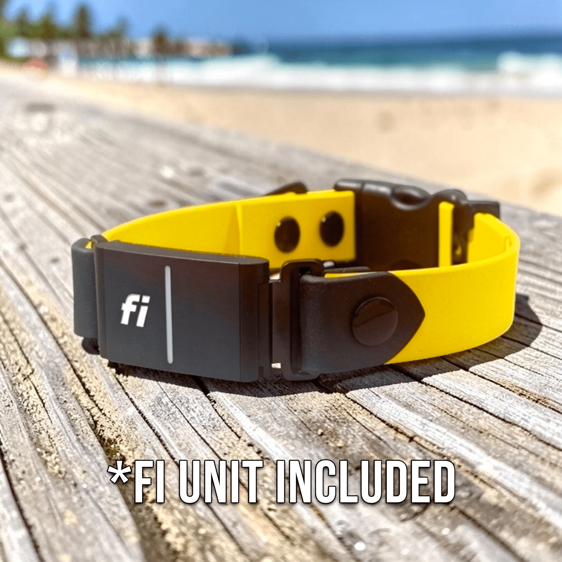 Sport Fi - Compatible Dog Collar - Fi GPS Included - hundhaus.dog