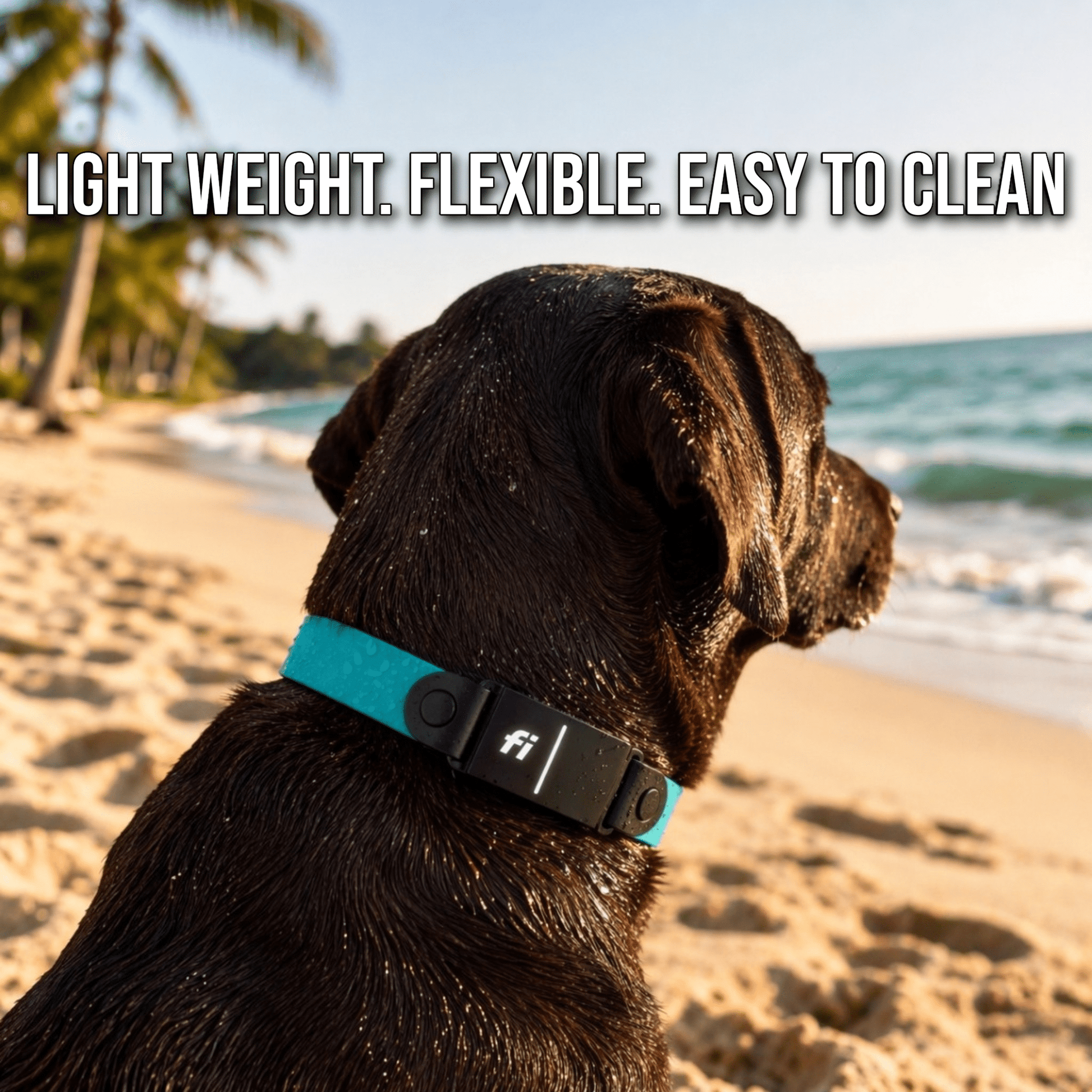 Sport Fi - Compatible Dog Collar - Fi GPS Included - hundhaus.dog