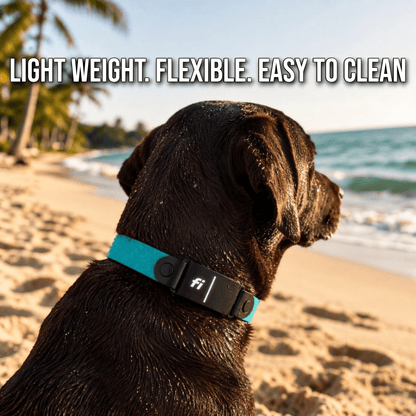 Sport Fi - Compatible Dog Collar - Fi GPS Included - hundhaus.dog