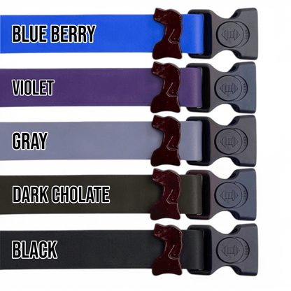 Sport Waterproof Dog Collar color option: Sky Blue