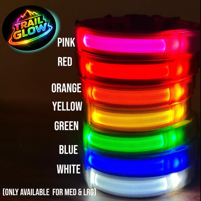 Trail Glow LED color options for medium and large Sport dog collars