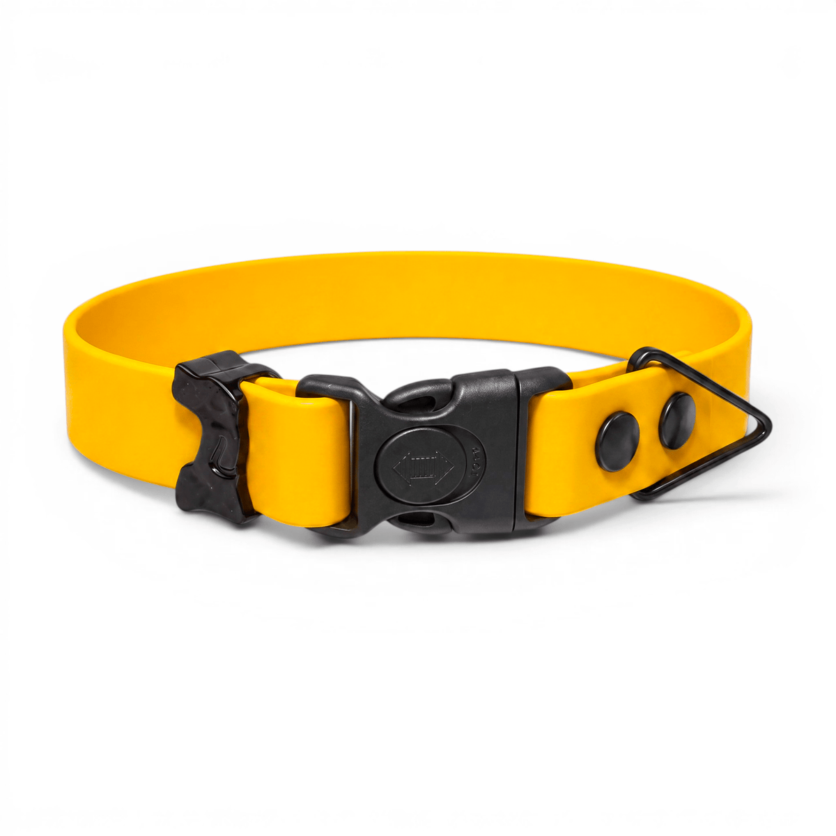Sport Waterproof Dog Collar - Lemon - hundhaus.dog