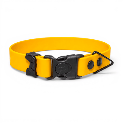 Sport Waterproof Dog Collar - Lemon - hundhaus.dog