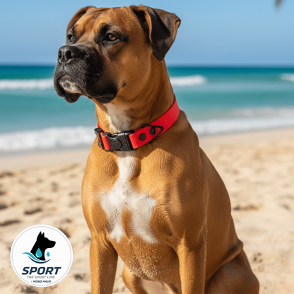 Durable Waterproof AirTag Dog Collar | Built-In Holder by HÜND HAUS, dog collar handmade in Denver