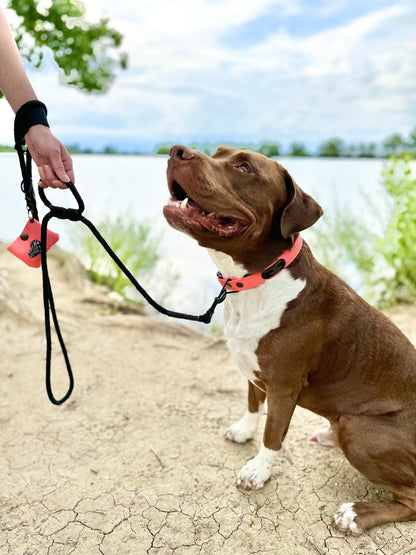 The Leash Lasso - hundhaus.dog