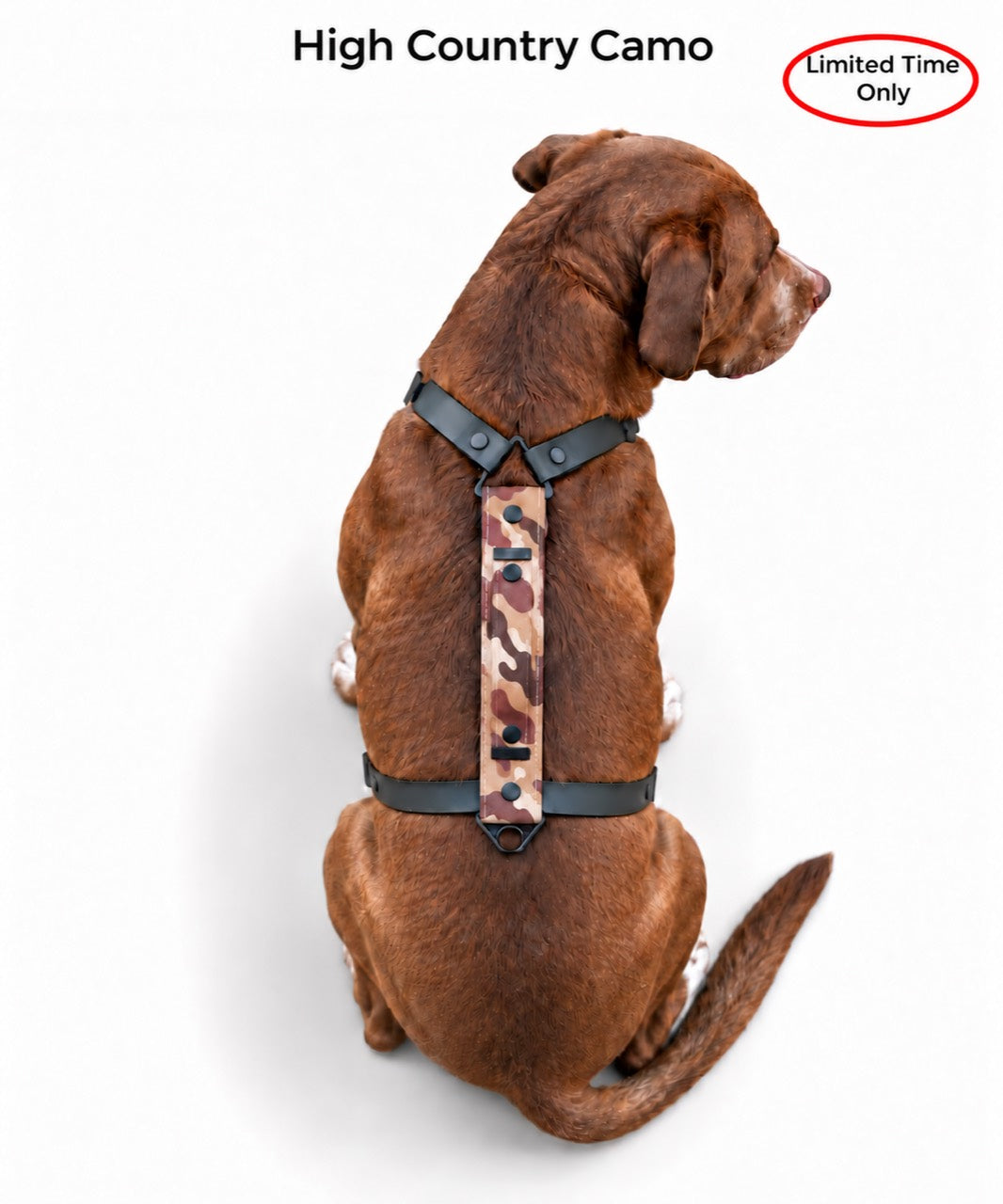 The Summit Dog Harness in High Country Camo, shown in tan and brown camouflage with black straps on a dog from above. Limited time only.