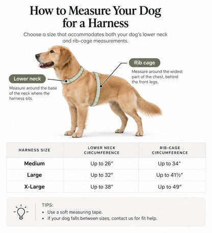 The Summit Dog Harness measuring guide showing lower neck and rib-cage measurement locations, with size limits for Medium, Large, and X-Large.