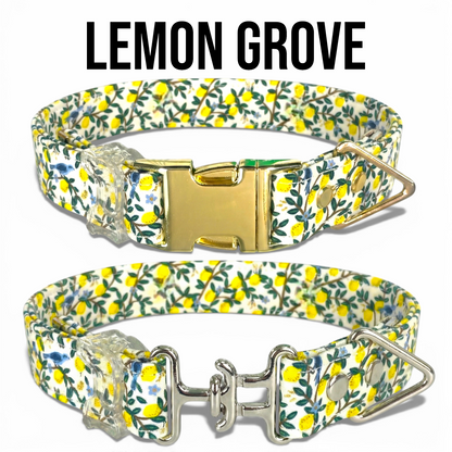 Classic Collar Collection