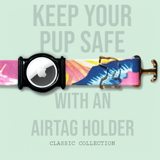 Tropics - Classic Collar - hundhaus.dog