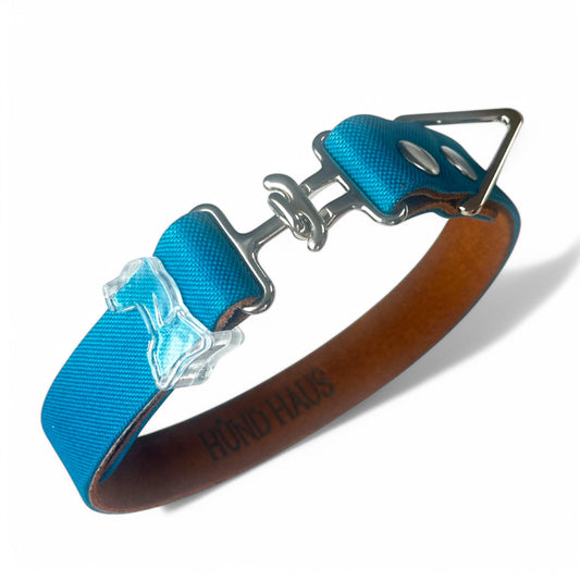 Turquoise - Classic Collar - hundhaus.dog