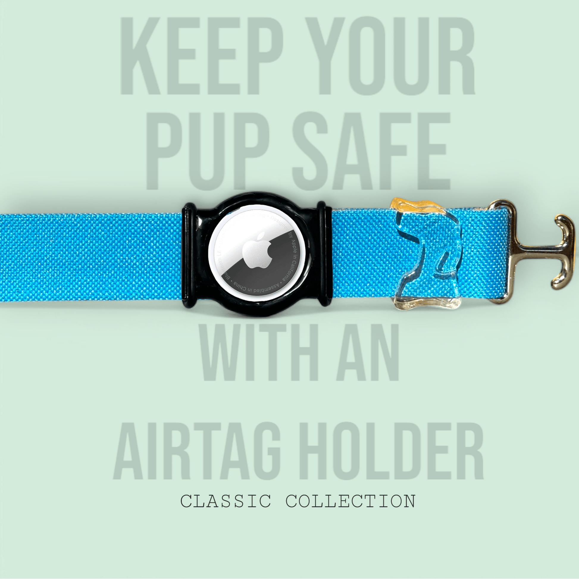 Turquoise - Classic Collar - hundhaus.dog