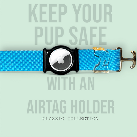 Turquoise - Classic Collar - hundhaus.dog